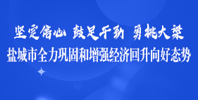 鹽城市全力鞏固和增強(qiáng)經(jīng)濟(jì)回升向好態(tài)勢(shì)專(zhuān)題